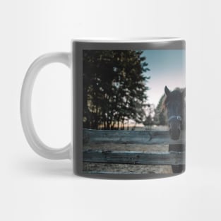 Horse Love Mug